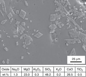 SEM image of the grained rear side of sample KO-1. EDS microanalysis of the small crystals is shown in the table.