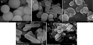 FESEM images of mesoporous silica particles (a) 0CTAB:45H2O, (b) 0.1CTAB:45H2O, (c) 0.3CTAB:45H2O, (d) 0.3CTAB:600H2O and (e) 0.3CTAB:1200H2O.
