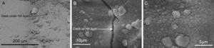 HA layer precipitated on the surface of a glass ceramic material based on TCP after in vitro assay on SBF [97]. (A) HA layer is cracked and partially removed, showing the glass over which has precipitated, (B) detailed crack of HA layer and (C) detailed crystals of HA layer.