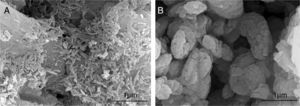 Synthesis of HA by combustion in (A) aqueous media and (B) oxidizing media [21].