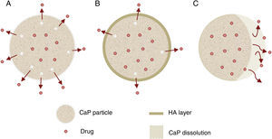 Different mechanism of drug release using CaP cements as vehicles. (A) Diffusion mechanism, (B) diffusion mechanism where the diffusion rate is slower due to the HA layer formed as consequence of bioactivity and (C) release due to biodegradation process of the particle.