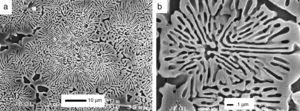 SEM micrographs of bioeutectic after etching in diluted acetic acid. Micrographs show microstructures formed by rounded colonies of porosity named rosettes [216].