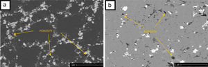 Microstructure of sintered samples (a) 10m sample and (b) 10n sample.