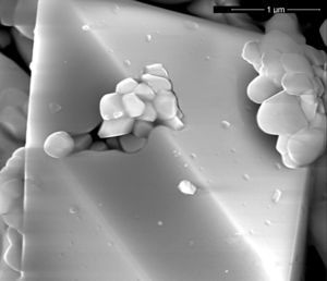 SEM-image of zircon particle in M2 pigment (secondary electron signal ×80,000).