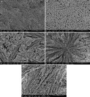 SEM micrographs of the glass–ceramics samples for (a) G1, (b) G2, (C) G4, (d) G6 and (e) G8.