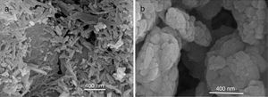 SEM micrographs of HA powders synthesized by combustion in (a) aqueous media and (b) oxidizing media.