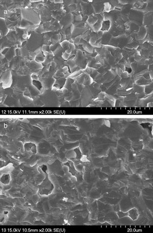 SEM images of sample (a) 50Q and (b) 20Q30R sintered at 1200°C.