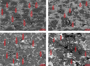 Scanning electron microcopy images of the specimens possess 8wt.% (a) Fe2O3, (b) Al2O3, (c) TiO2, and (d) ZrO2 nano-sized oxides.