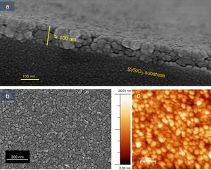 FESEM and AFM micrographs of the (five plus five)-layers SmBFO-SmBiT composite thin film sample. (a) Cross-sectional FESEM image of the film showing an average thickness of 100nm. (b) FESEM image from the top of the surface this time evidencing a heterogeneous microstructure (two types of grains). (c) Corresponding AFM image of the surface.