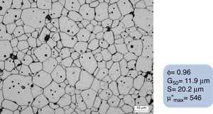 SEM micrograph of sintered CuNiZn ferrites showing the microstructure of a specimen sintered using the designed staggered thermal cycle.