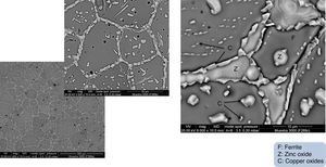 Cross-sectional SEM micrograph showing the microstructure and grain boundaries of a sintered specimen with zinc oxide and copper oxide(s) crystal precipitates [8].