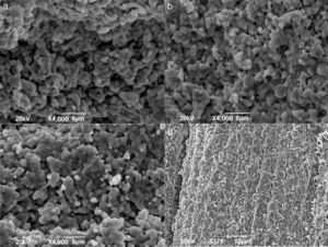 SEM micrographs of 3D printed 3-YSZ sintered at 1400°C: (a) 25%, (b) 45%, (c) 60% 3YSZ loading, (d) cross-sectional view of 60% 3-YSZ.