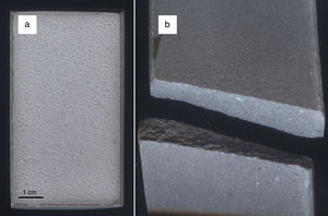 The photographs of (a) the surface and (b) the fracture section of the PG non-fired ceramic tile.