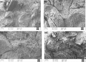 SEM photographs of worn out surfaces: (a) 10% deformation, (b) 20% deformation, (c) 30% deformation and (d) 40% deformation.