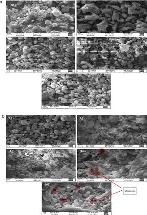 SEM analysis of ceramic porcelain composition replacing alumina with silica in wt.% sintered on different temperature, (a) at 1250°C and (b) at 1350°C (where A1=0, A2=5, A3=10, A4=15 and A5=20wt.% SiO2).