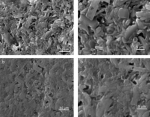 Microstructures obtained by SEM of the mixtures fired at 1400°C during 2h. (a) MDD3, (b) MDD1.
