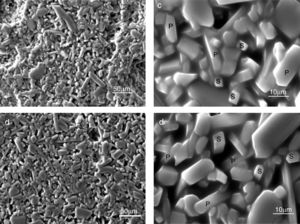 Microstructures obtained by SEM for mixtures fired at 1500°C during 2h. (c) MDD3, (d) MDD1, P: primary mullite, S: secondary mullite.