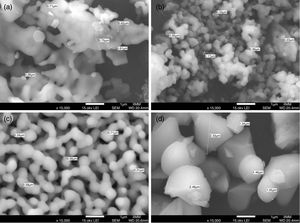 FE-SEM images of β-TCP powders obtained by (a) sol–gel, mechanosynthesis at 24h (b) at 12h (c), and sigma reagent (d) shown the morphology and the size of the powders.