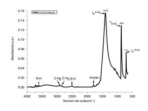 Espectro de infrarrojo correspondiente a los polvos obtenidos por molienda de conchas de ostión en estado natural.