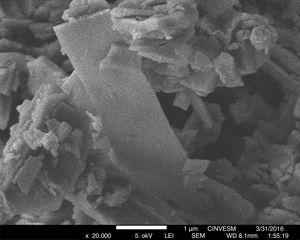 Micrografía de microscopia electrónica de barrido en forma de tabletas de las conchas de ostión en estado natural. Condiciones de medición: 5kV de voltaje de aceleración en condiciones de alto vacío ×20.000.