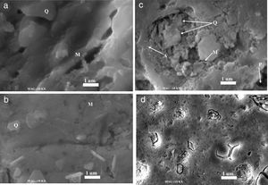 SEM micrographs of the samples sintered at 1100°C for 2h: (a) N00, (b) G10, (c) G20 and (d) G30. Q=quartz, M=mullite, A=anorthite, P=porosity.