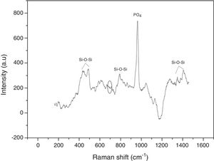 Raman spectrum of synthesized VC after 600°C heat treatment.