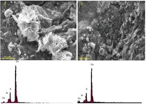 SEM micrographs and EDX elemental analyses of ettringite crystals formed after 120 days of exposure to sulfate solution in the paste specimens of (a) plain Portland cement and (b) mixture containing 20 mass% spent catalyst.