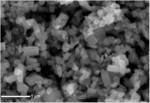 SEM of ZnO nanostructured particles.
