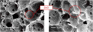 SEM of the (A) superficial view and (B) of the internal part of the FG/ZnO.
