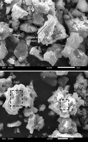 SEM microphotographs of different regions of sample AY1 after fired at 1573K. (a) Region of new phase and (b) region of surface.