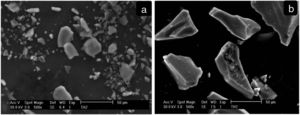 SEM images of synthesized TiO2: (a) TAMW and (b) THMW.