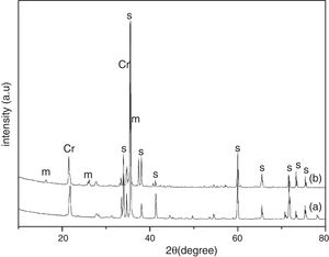 XRD pattern of samples after corrosion for 240h with steam (a) S; (b) SA.