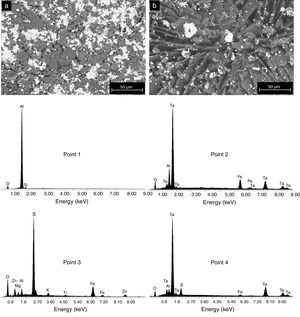 SEM micrographs of sample M4C, before (a) and after (b) subjecting it to the attack by H2SO4. The EDS spectra of the analyzed points are also shown.