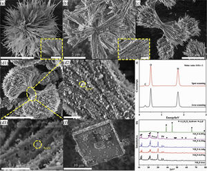 FE-SEM images and corresponding XRD patterns of Li2Si2O5 hydrate products prepared at different NH4F content: (a) 0, (b) 0.074, (c) 0.148 and (d) 0.296g NH4F, (e) corresponding spot and area EDS patterns in magnified views of d2 and d3, (f) 0.592g NH4F; and (g) the XRD patterns.
