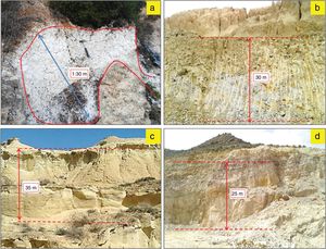 Outcrops of the studied deposits facies. (a) White halloysite deposit of the Neogene Melilla basin, (b) Gray yellow marly clay deposit of the Miocene Molay Rachid basin, (c) white, brownish or grayish diatomite deposit of the Neogene Boudinar basin, (d) pink-white silica sand deposit of Mechraa Hammadi.