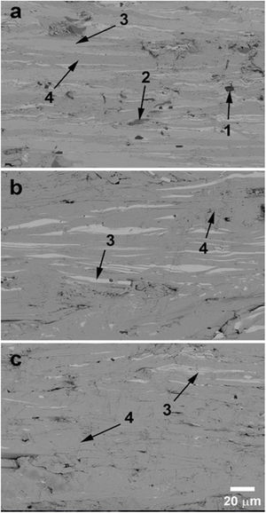 Representative FESEM micrographs of longitudinal polished surfaces of 0.10K-substituted samples (a) as-grown; and (b) annealed; and (c) 0.15K annealed ones. The numbers identify the different phases: (#1) corresponds to cobalt oxide; (#2) Bi-free phase; (#3) Co-poor phase; and (#4) thermoelectric Bi2Sr2Co2Oy phase.