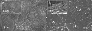FESEM micrographs of bare chitosan (A) and its char C800 (B). Insets refer to the same materials in cross-section at low magnification.