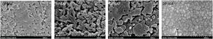 SEM micrographs of 0P-5A-F, 1P-5A-F, 3P-5A-F and 2P-16A, heat treated glass-ceramics at the main peak crystallization temperature, respectively.