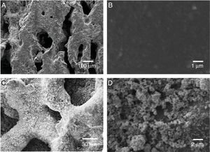 Scanning electron microscope (SEM) image of the porous ceramics substrate before (A e B) and after (C e D) TiO2 deposition in different magnifications.