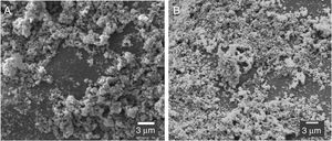 SEM micrographs of catalyst adhered to the ceramic substrate before (A) and after use in heterogeneous photocatalysis (B).