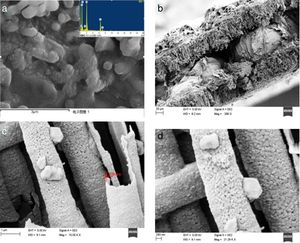 Scanning electron microscopy for the composite materials (a) surface composite materials in the aluminium foil (b) composite materials (c, d) tunnel structure enlargement in the tunnel of the aluminium foil section.