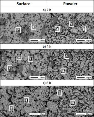 SEM micrographs of the surface (left) and powders (right) of the samples Ti:SiC:Cc with a molar ratio of 3:1.5:0.5 heat treated at 1300°C for different holding times: (a) 2h, (b) 4h and (c) 6h.