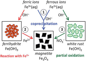 Schematic representation of the three main chemical routes to obtain magnetite: (1) magnetite formation by controlled co-precipitation from both Fe(II) and Fe(III) ions, (2) magnetite formation from Fe(III) ions through a solid ferrihydrite Fe(OH)3 precursor and Fe(II) ions by ammonia diffusion, and (3) magnetite formation from Fe(II) ions through a solid white rust Fe(OH)2 precursor by partial oxidation with nitrate ions. Reprinted with permission from [51].