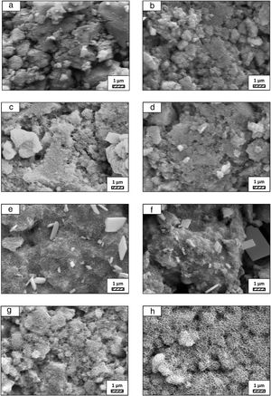 SEM micrographs of fine wafer before (a) and after immersion in LRS for (b) 1 day; (c) 3 days; (d) 5 days; (e) 7 days; (f) 14 days; (g) 21 days and (h) 28 days (20,000×).