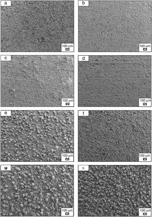 SEM micrographs of coarse wafer before (a) and after immersion in LRS for (b) 1 day; (c) 3 days; (d) 5 days; (e) 7 days; (f) 14 days; (g) 21 days and (h) 28 days (100×).