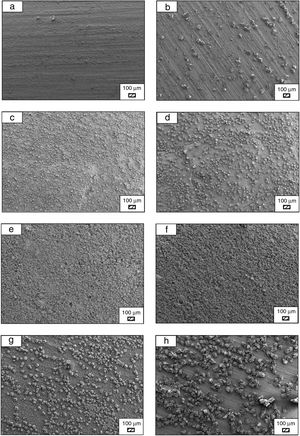 SEM micrographs of fine wafer before (a) and after immersion in LRS for (b) 1 day; (c) 3 days; (d) 5 days; (e) 7 days; (f) 14 days; (g) 21 days and (h) 28 days (100×).