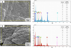 SEM micrographs and EDS analysis results of (a) coarse and (b) fine wafers soaked in LRS for 28 days.