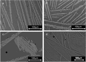 SEM micrographs of samples cooled through the mushy zone at rates of (a) 2, (b) 1, (c) and (d) 0.5°C/h [micrograph (d) was taken at lower magnification]. Primary dendrites of the β-C3Pss phase (light gray) can be seen embedded in a eutectic matrix (dark gray).