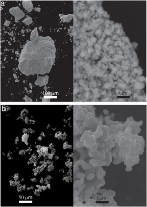 Morphology and particle size of raw powders: (a) IrO2 and (b) Ta2O5.