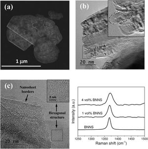 (a) HRSEM, and (b and c) HRTEM images of the synthesized BNNS, (d) Raman spectra of the synthesized BNNS and the BNNS/3YTZP composites.